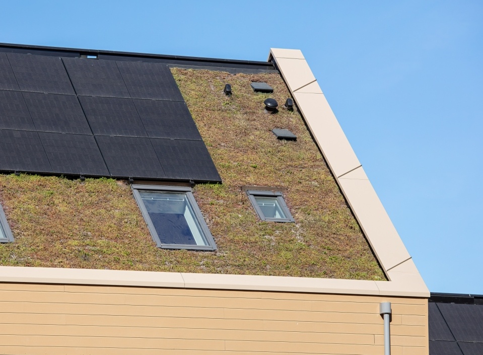 La durabilité dans la pratique en construction